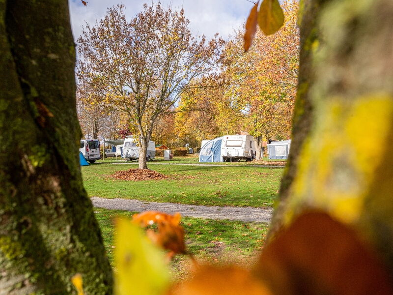 Herbstliche Szene auf einem Campingplatz mit Wohnwagen und Wohnmobilen, umgeben von Bäumen mit gelbem und